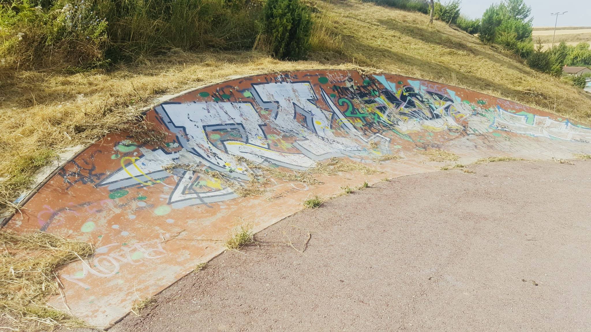 Estado de conservacion del parque de San Isidro